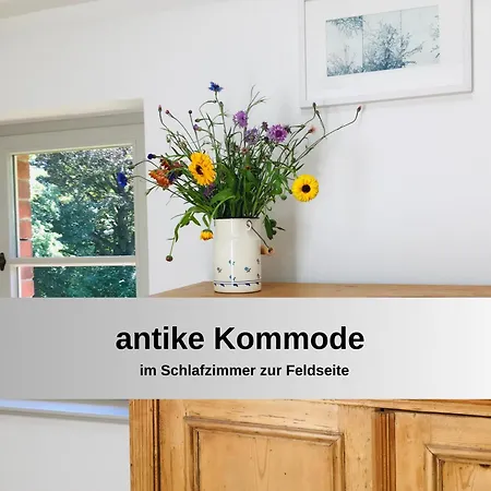 Gut Bisdorf - Mache Urlaub Und Werde Gutshausretter Eixen