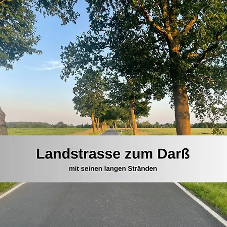 Gut Bisdorf - Mache Urlaub Und Werde Gutshausretter * Eixen