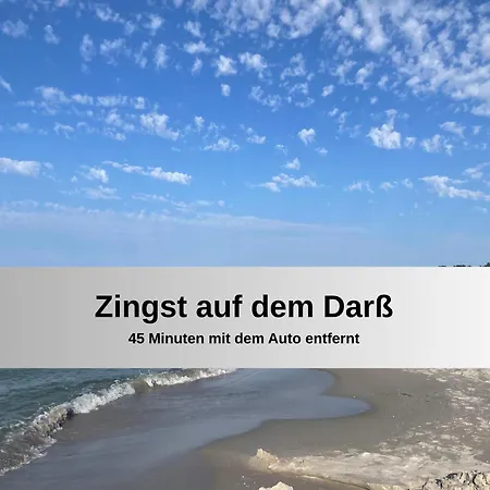 Gut Bisdorf - Mache Urlaub Und Werde Gutshausretter