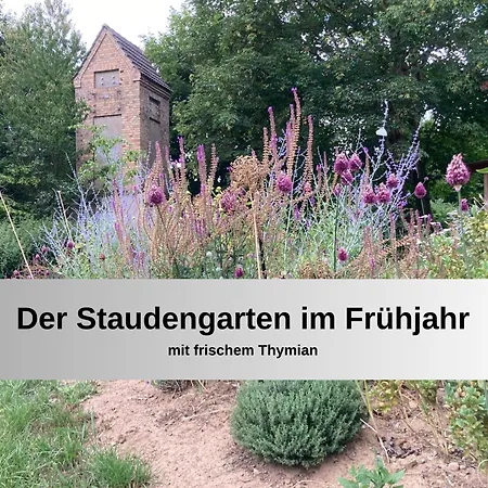 Gut Bisdorf - Mache Urlaub Und Werde Gutshausretter Apartment Eixen