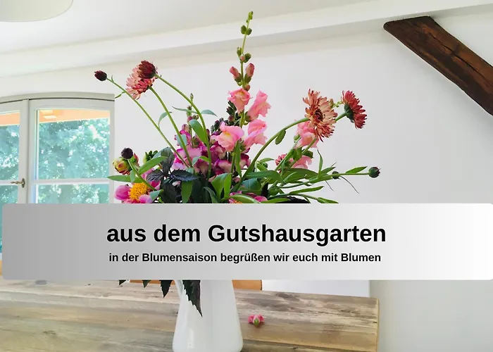 Gut Bisdorf - Mache Urlaub Und Werde Gutshausretter Apartmán *