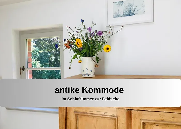 Gut Bisdorf - Mache Urlaub Und Werde Gutshausretter Eixen