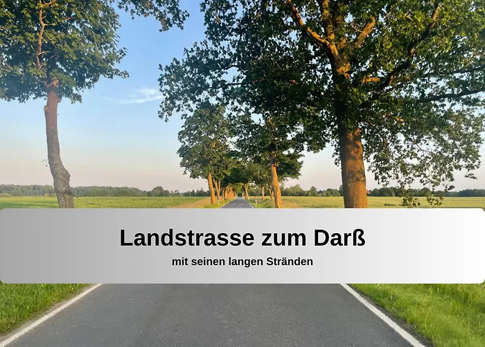 Gut Bisdorf - Mache Urlaub Und Werde Gutshausretter * Eixen