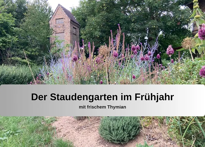 Gut Bisdorf - Mache Urlaub Und Werde Gutshausretter Apartmán Eixen